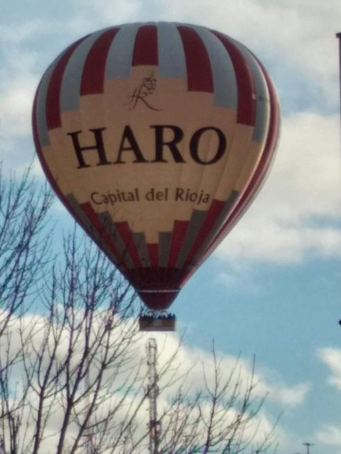 El Tesoro De Baco Daire Haro Dış mekan fotoğraf